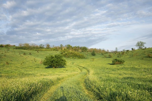 S'évader en famille : camping dans les vosges au clos de la chaume