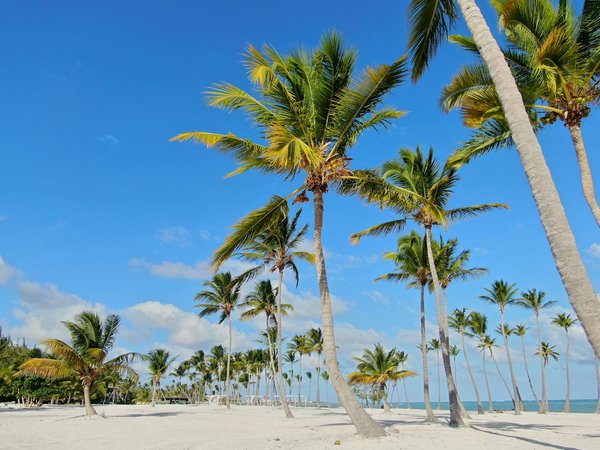 Offres anniversaire au parc Porte de Châtillon : fêtez en grand !